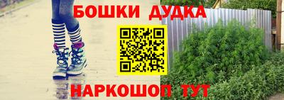 крисы Краснокаменск